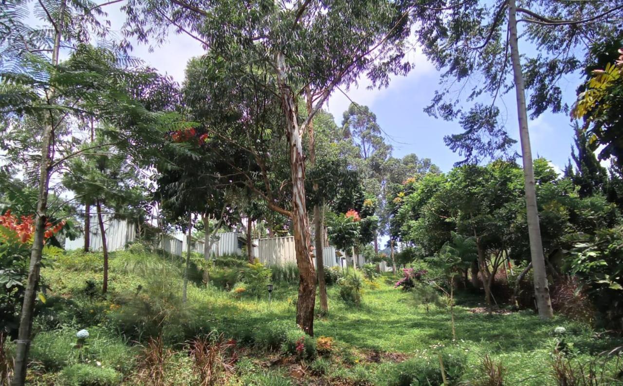 Hotel Bukit Pinus Tegalharendong Kültér fotó
