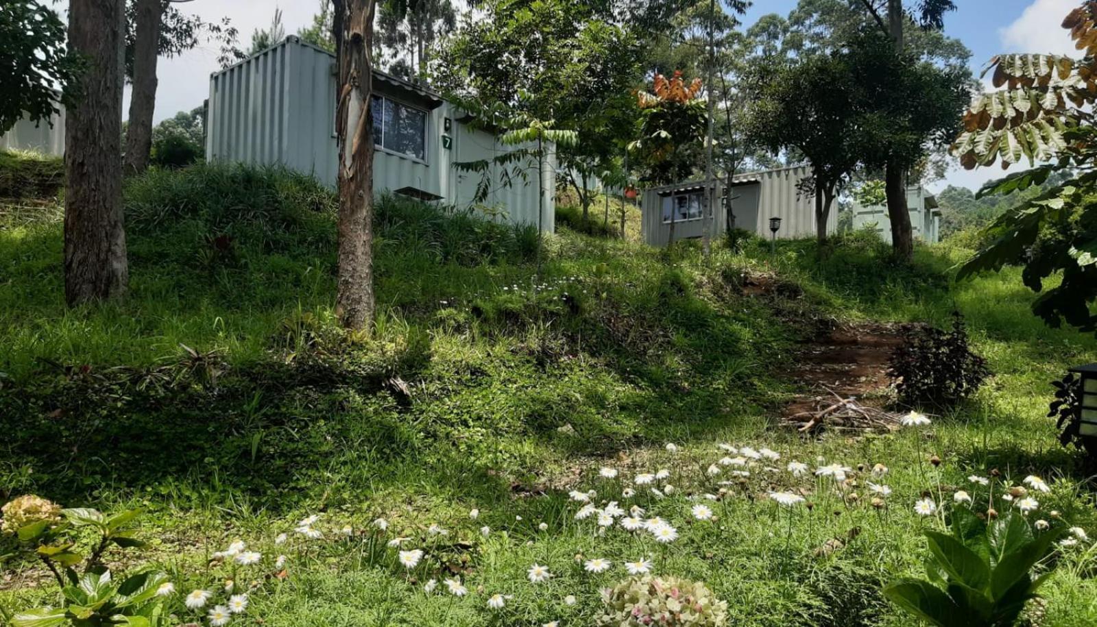 Hotel Bukit Pinus Tegalharendong Kültér fotó