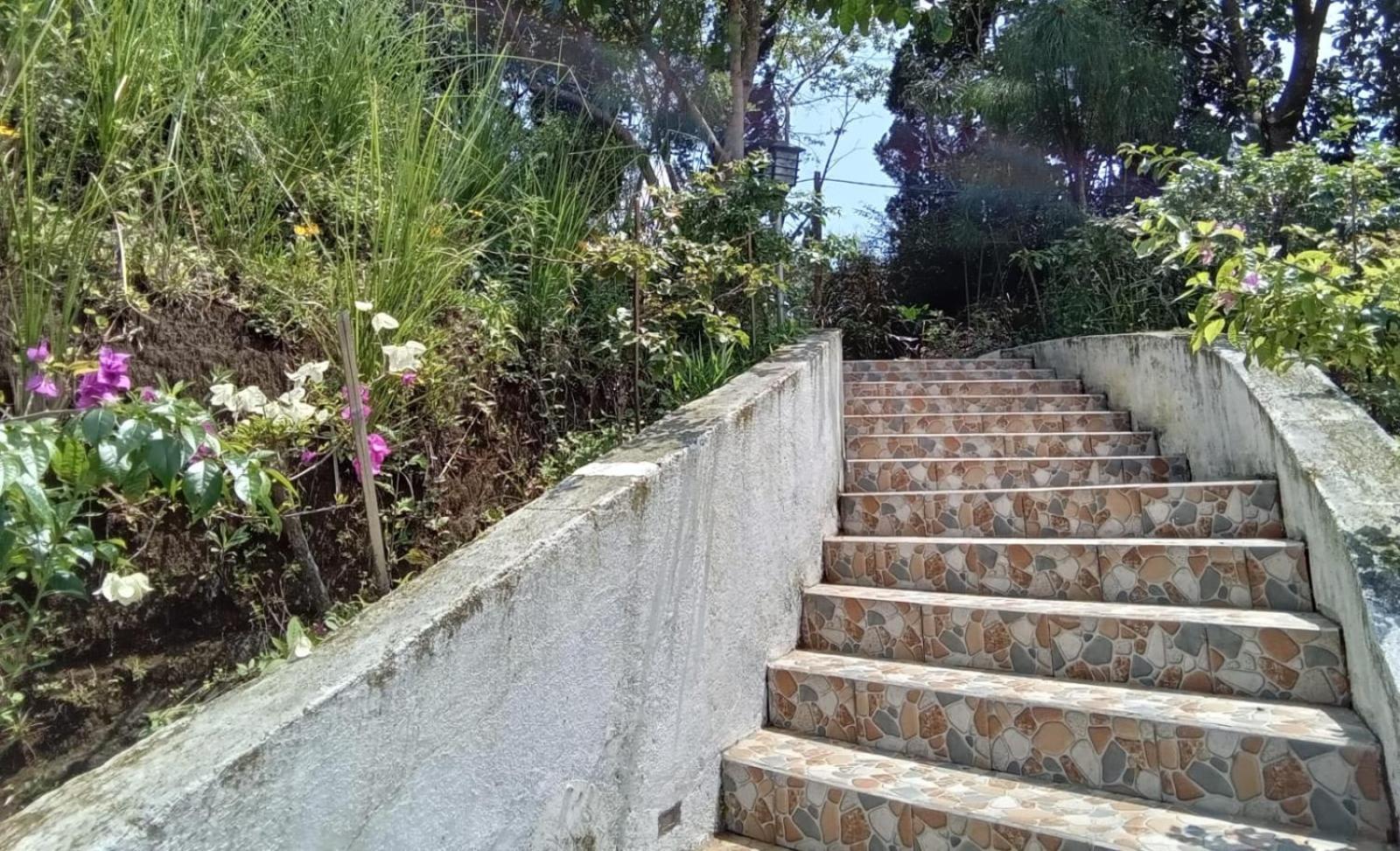 Hotel Bukit Pinus Tegalharendong Kültér fotó
